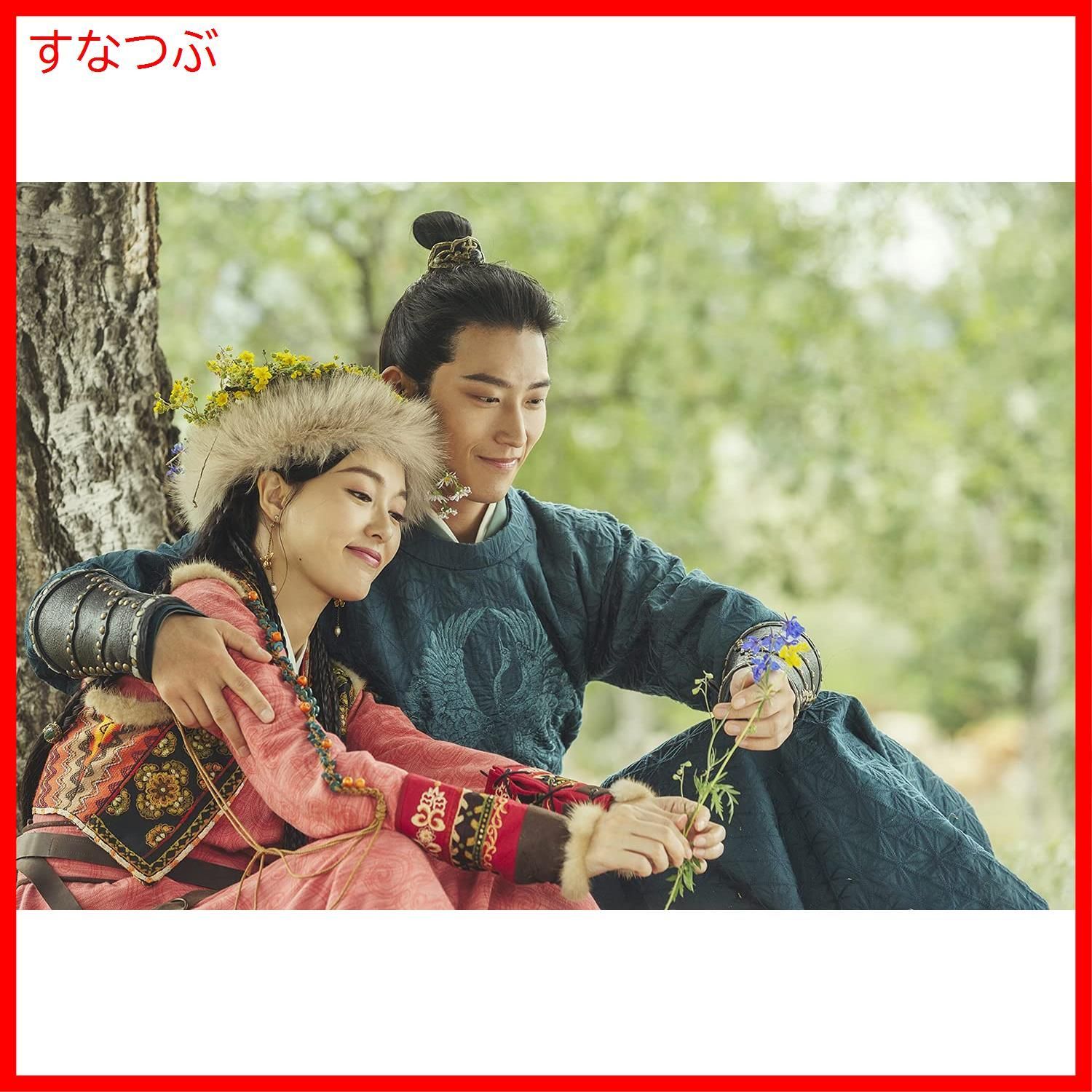 DVD 燕雲台 全31巻セット ティファニー・タン ショーン・ドウ 中国ドラマ ティファニー・タン主演「燕雲台」レンタルDVD全巻のパッケージ