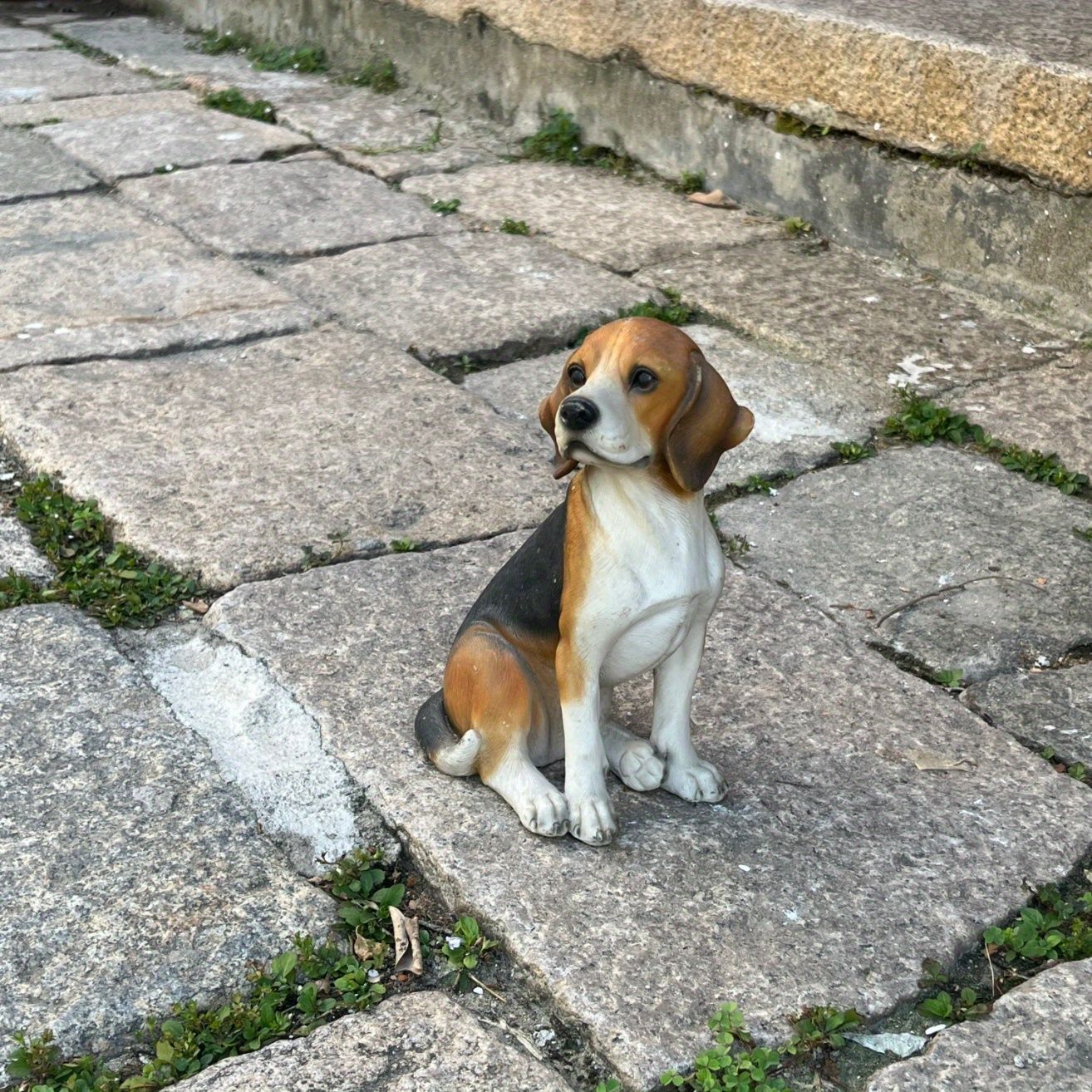 リアル 犬 ビーグル お座り 置物 かわいい 20.5cm 樹脂 動物像