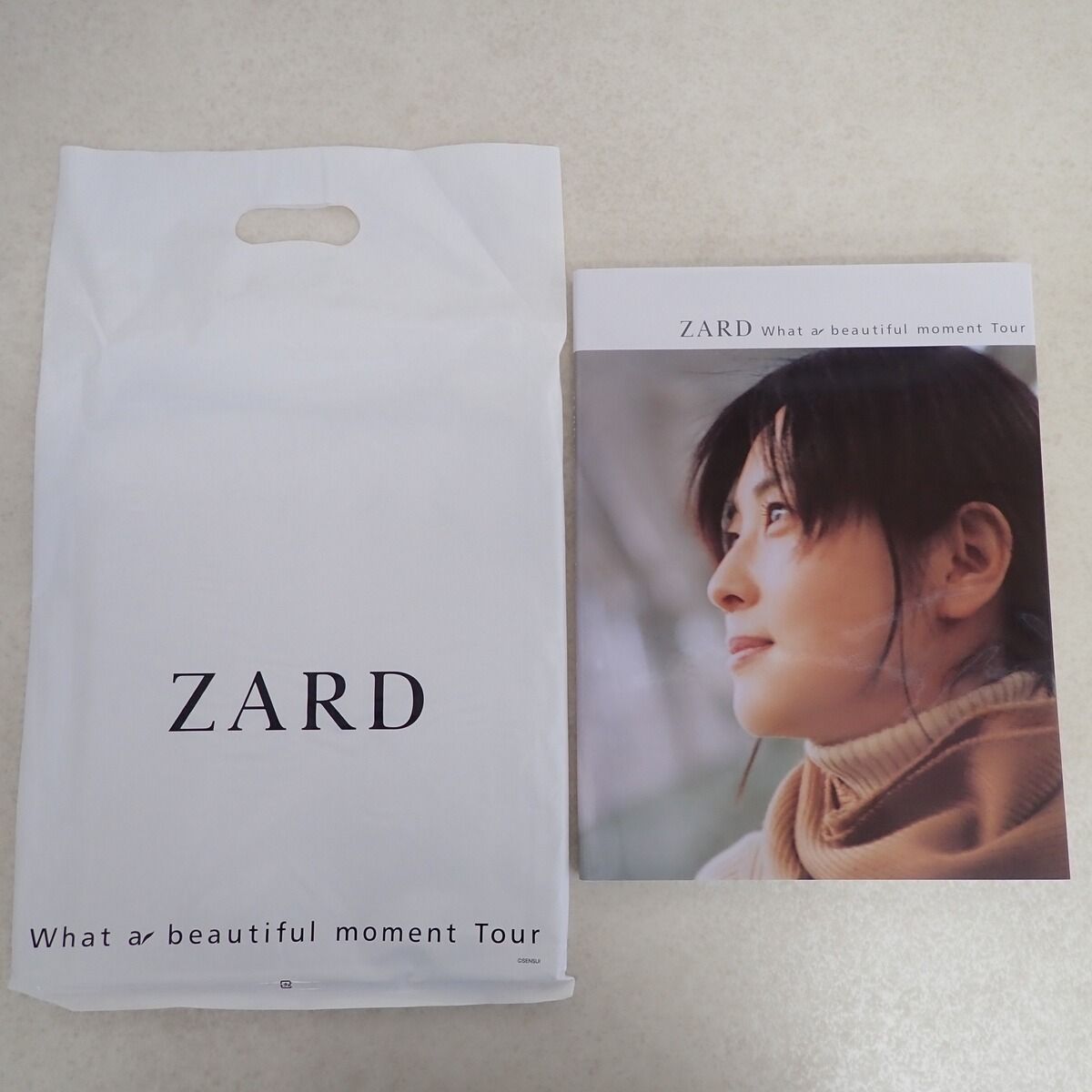 ZARD パンフレット What a beautiful moment Tour 写真集