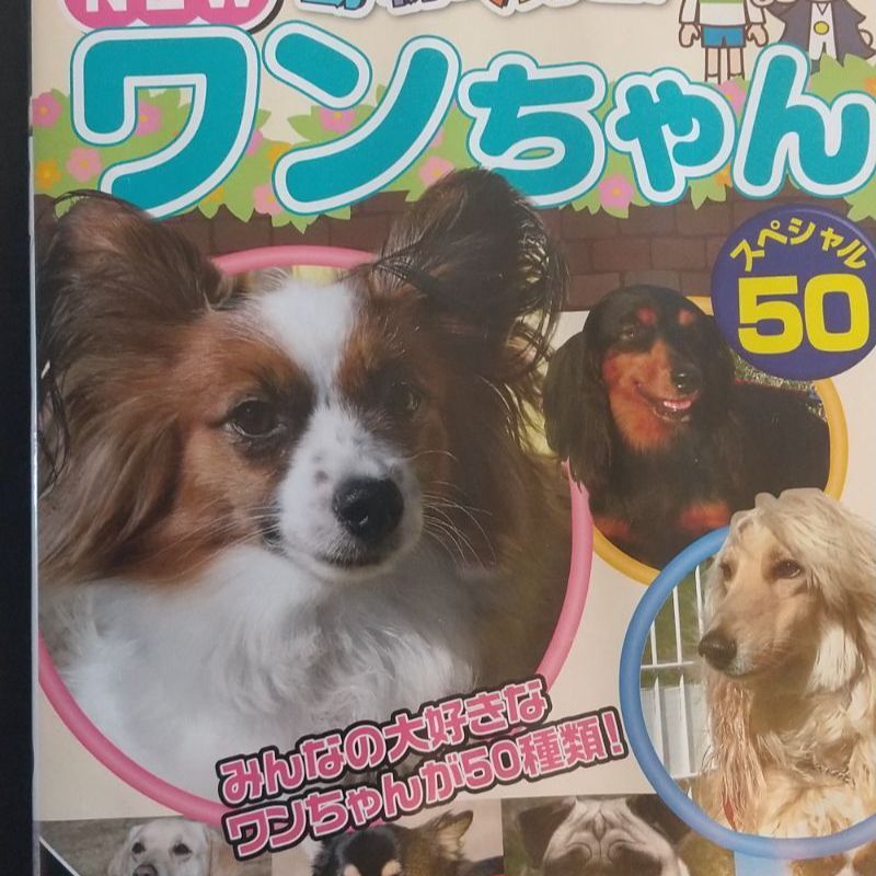 🐈‍⬛  🐕️🐩💕動物 大好き! NEW-ワンちゃん! スペシャル 50 - 和美容