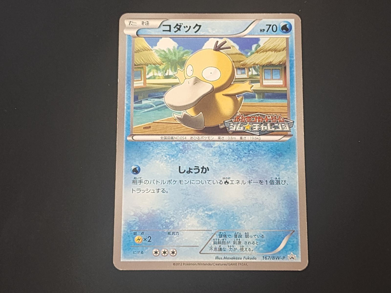 PC ポケモンカード コダック 16 BW-P 3枚セット ジム チャレンジ 商品説明文
