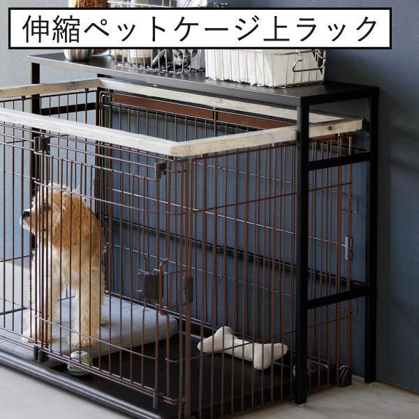 棚