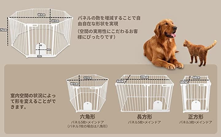 室内 中大型犬