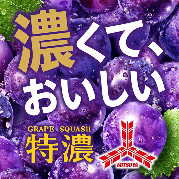 アサヒ 三ツ矢 特濃 グレープスカッシュ 500ml ペットボトル 48本 (24本入×2 まとめ買い) 炭酸飲料 ポリフェノール コンコード 巨峰 果汁
