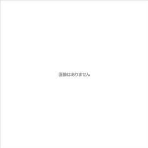 2営業日で発送 ユニオンコーポレーション マーキングマン 産業用スタンプインク エコビュートインク 2061黒250ml 2061BLA03