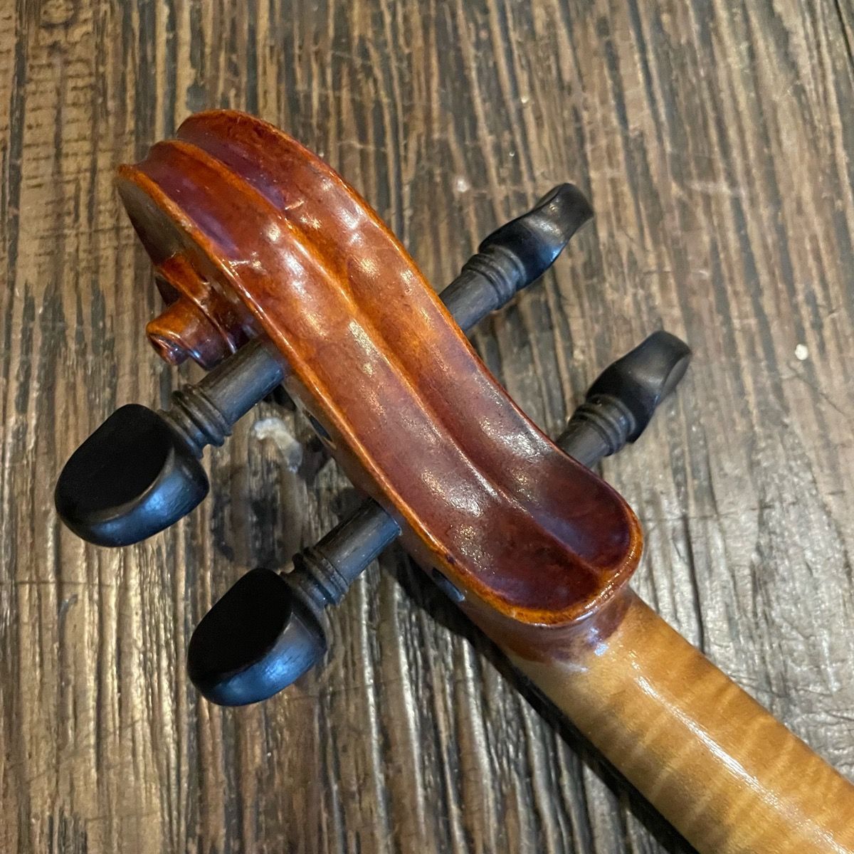 バイオリン 1/2 ドイツ製 the KAYSER バイオリン 1/2 ドイツ製 the KAYSER