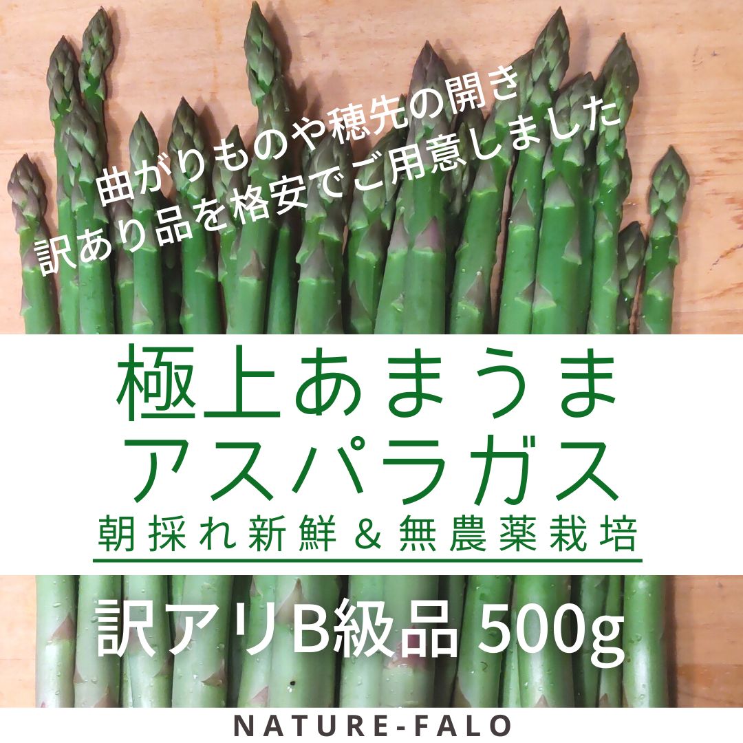 アスパラガス 新鮮 訳あり 500g - 野菜