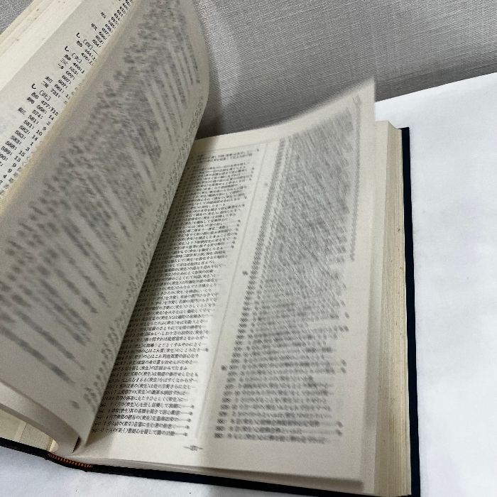 親鸞聖人著作用語索引 全2冊揃 教行信証の部 和漢撰述の部 龍谷