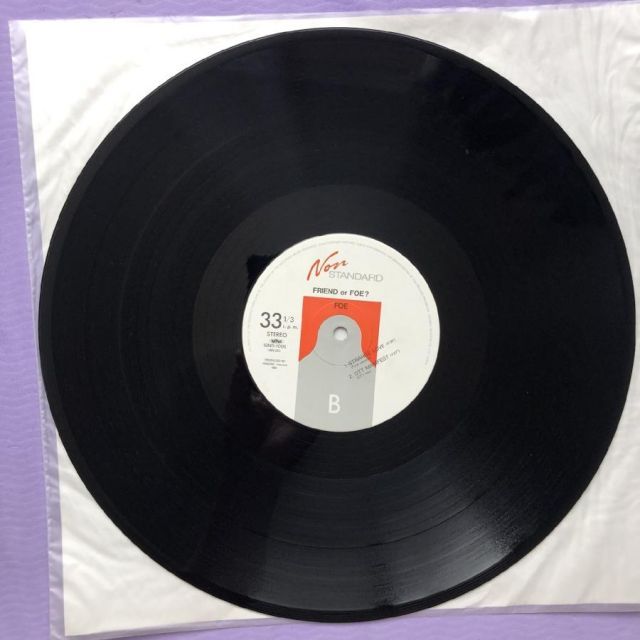 傷なし美盤 美ジャケ ほぼ新品 レア盤 フレンズ・オブ・アース 細野