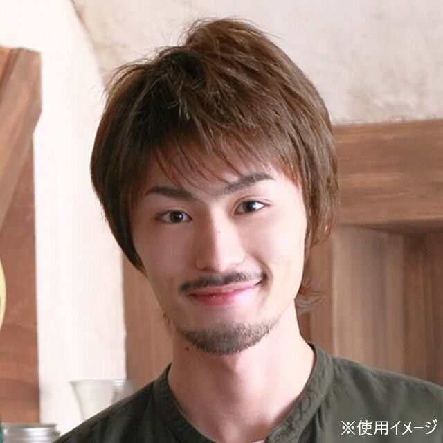 ☆プリシラ MANオールウィッグ ナチュラルショートミディ MA-101 耐熱