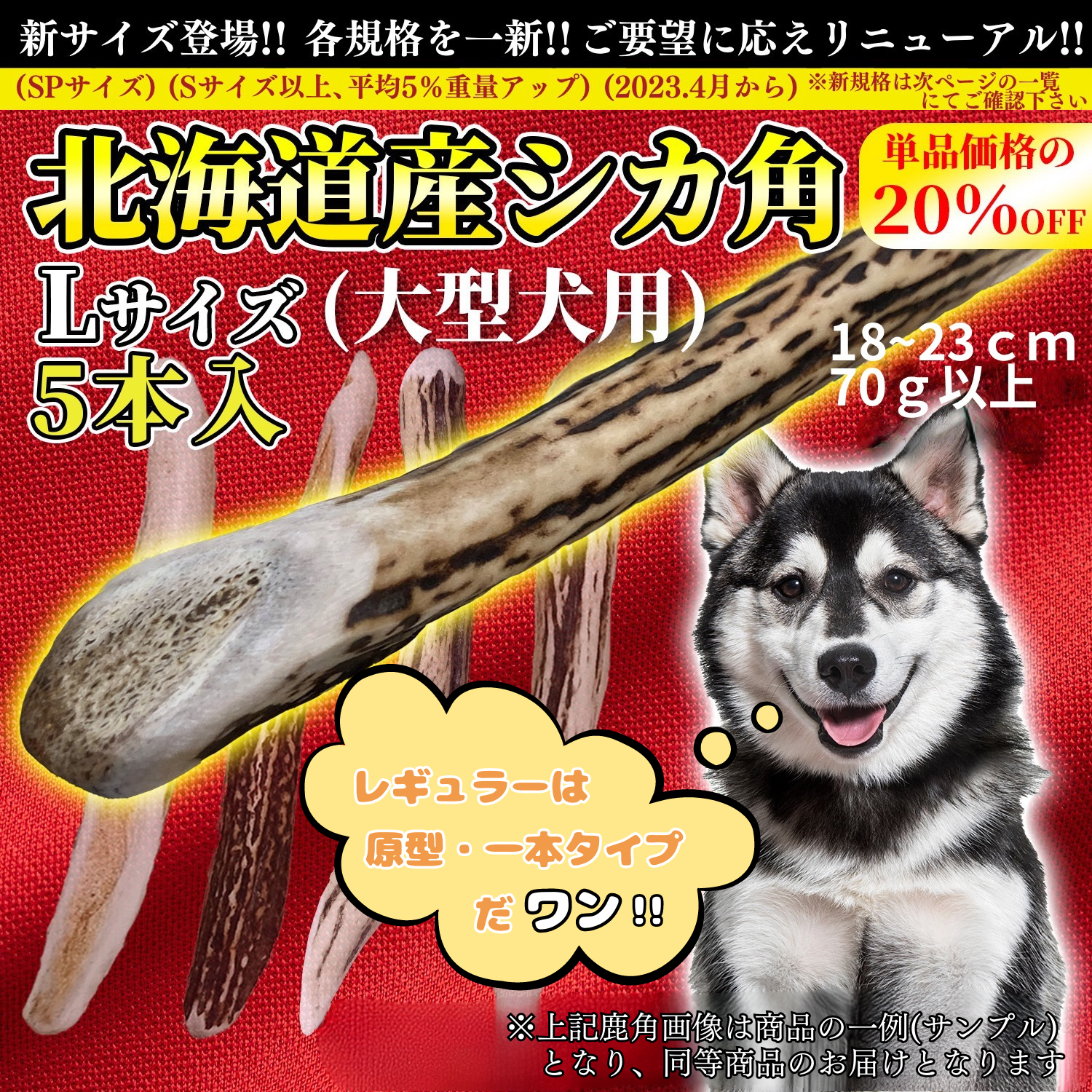 初めての鹿の角 M×各1本 犬のおやつ『ガリッとホーン食べ比べ』シカ 中型犬 - ペット用品