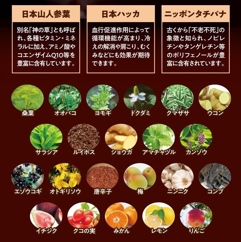 セリスタ ザ・カクテルセラム ボトルドニューエイジ 30mL＋酵素女神1