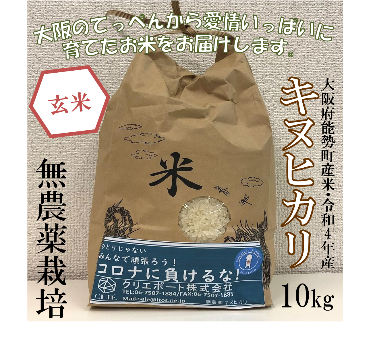 【令和４年産/無農薬栽培】大阪のてっぺんキヌヒカリ　玄米10kg　大阪府能勢産