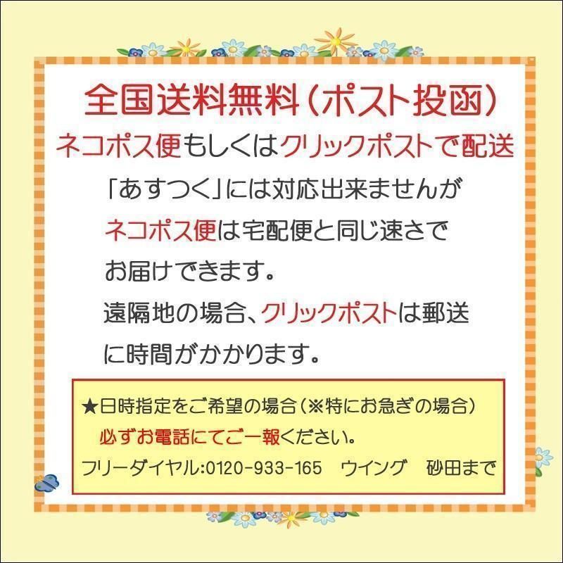 コーラス 衣装 ブラウス 演奏会 sからxxlサイズ 袖と前身頃に