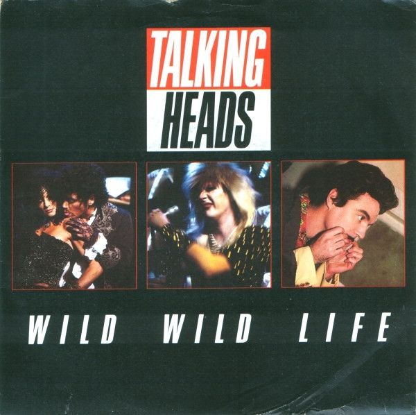 英7” Talking Heads Wild Wild Life EMI5567 EMI /00080 - メルカリ