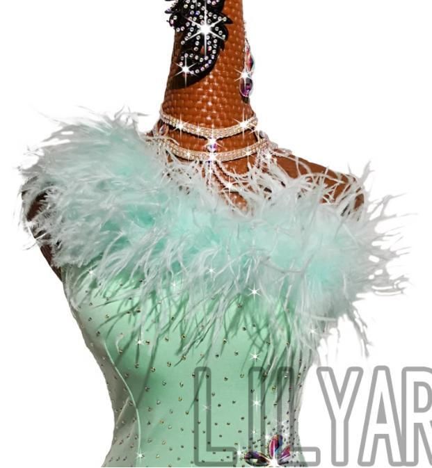 オーダーメイド 社交ダンス衣装　羽毛 ラテンワンピースドレス 色変更可 新品未使用新色 社交ダンス衣装 ラテンワンピースドレス 羽 豪華