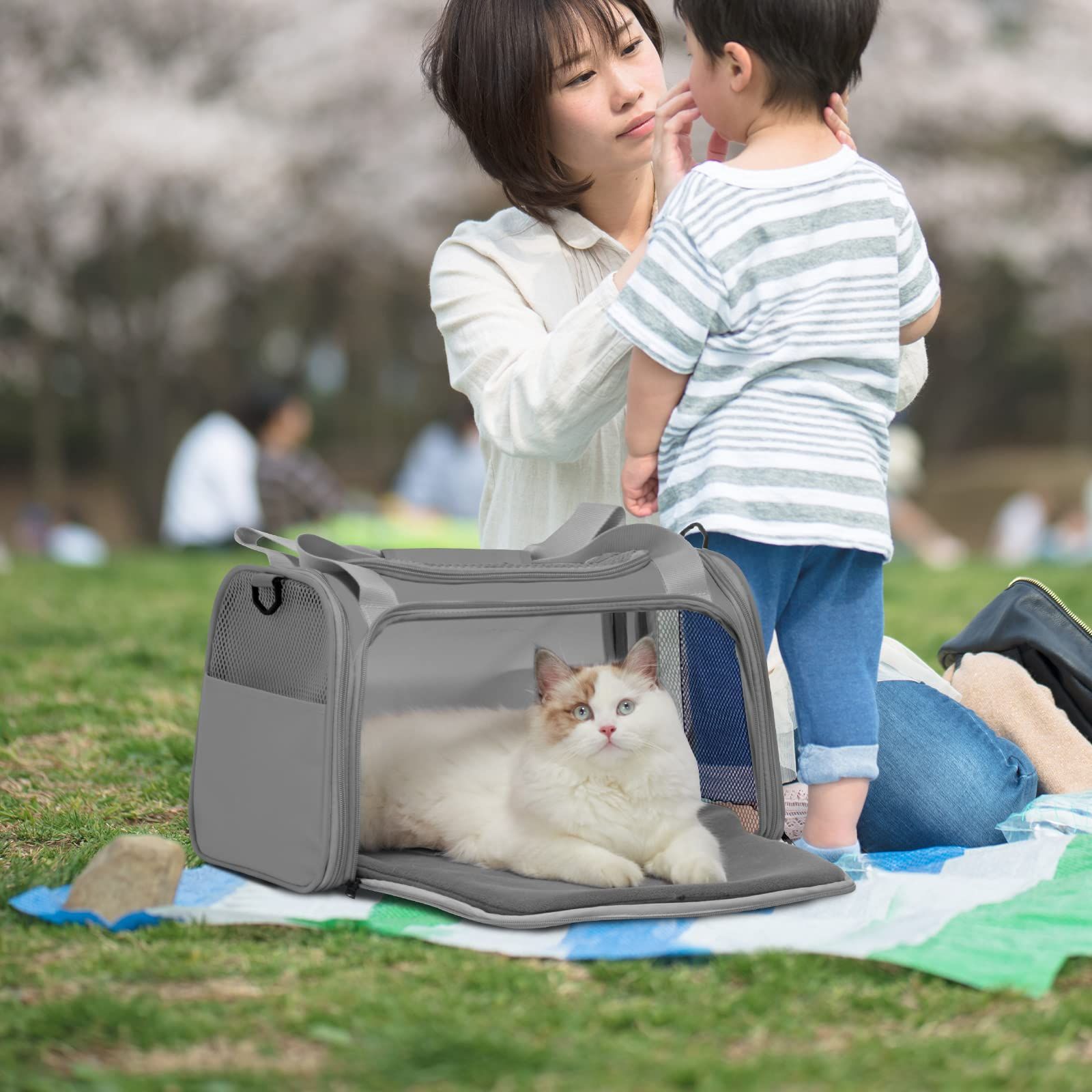 バッグ