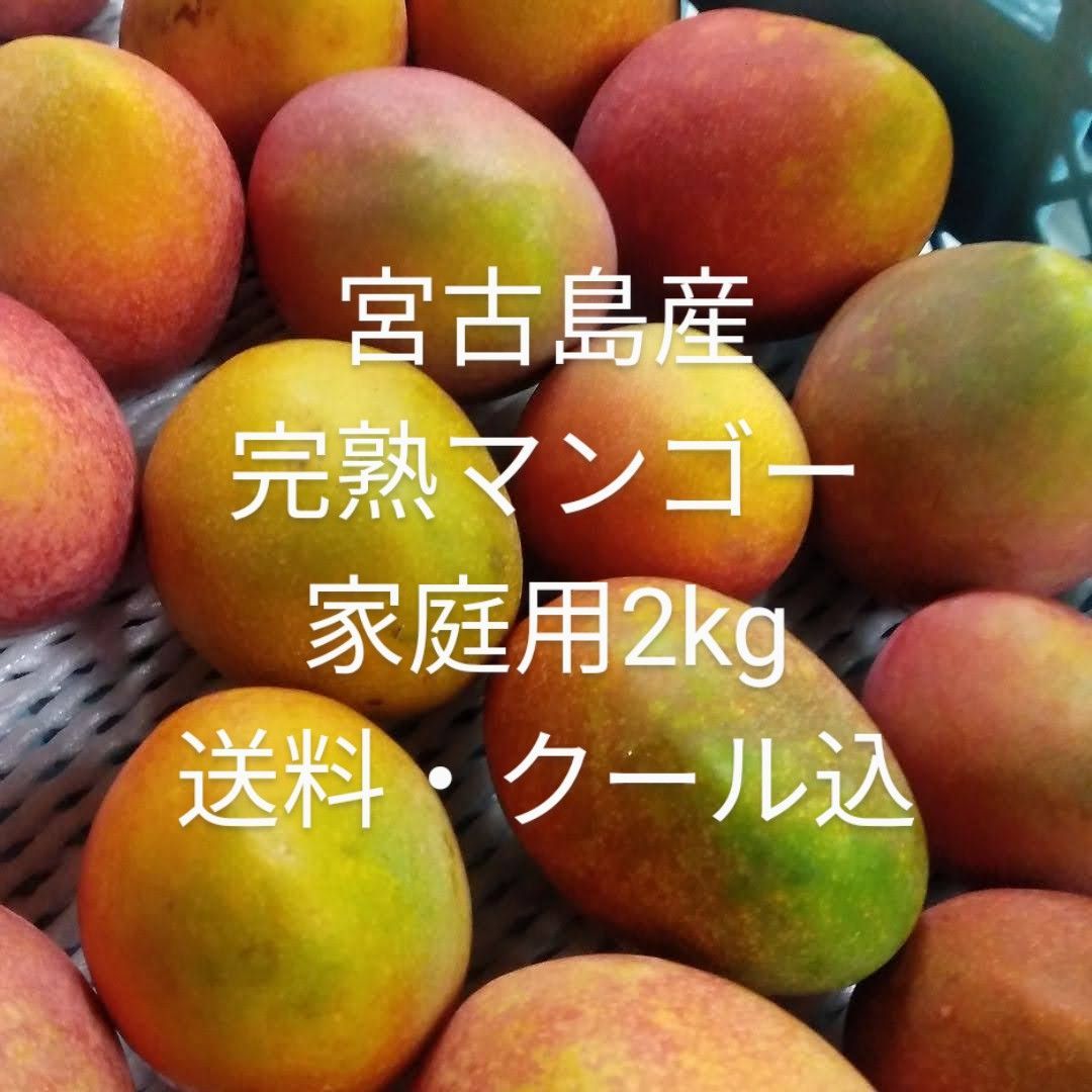 沖縄県産家庭用完熟マンゴー2kg強⭐️