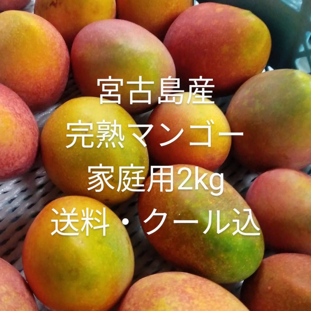 沖縄宮古島産完熟マンゴー2kg  家庭用（訳あり）