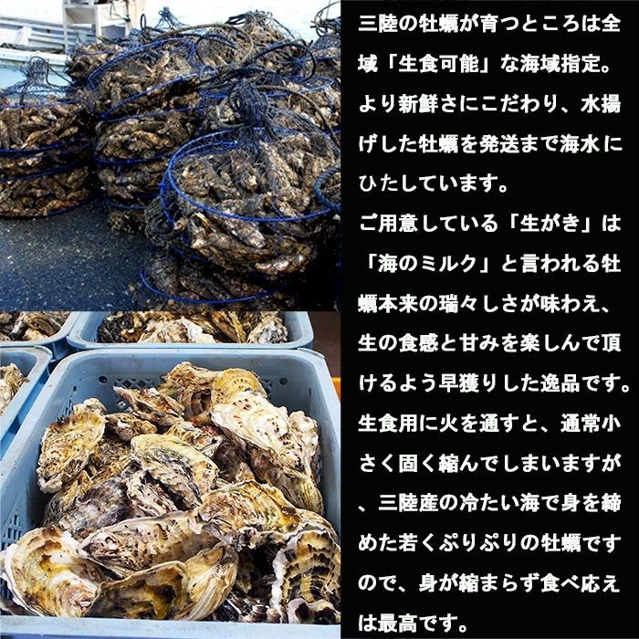 生食OK 5kg 三陸産 殻付き生牡蠣 数量限定 新鮮 宮城 石巻 鉄分