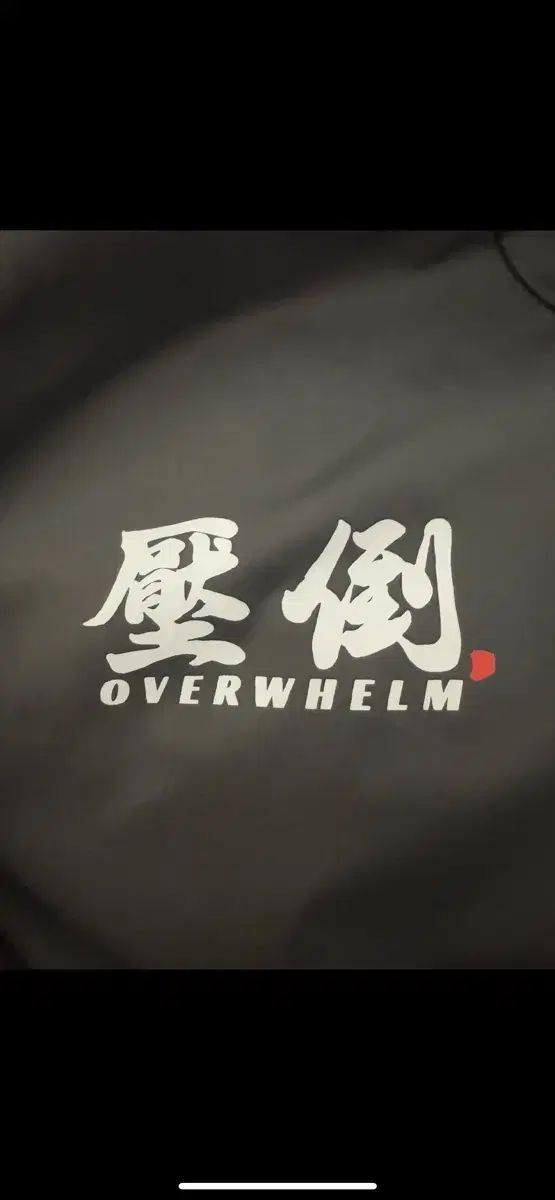 圧倒する ウィンドブレーカー