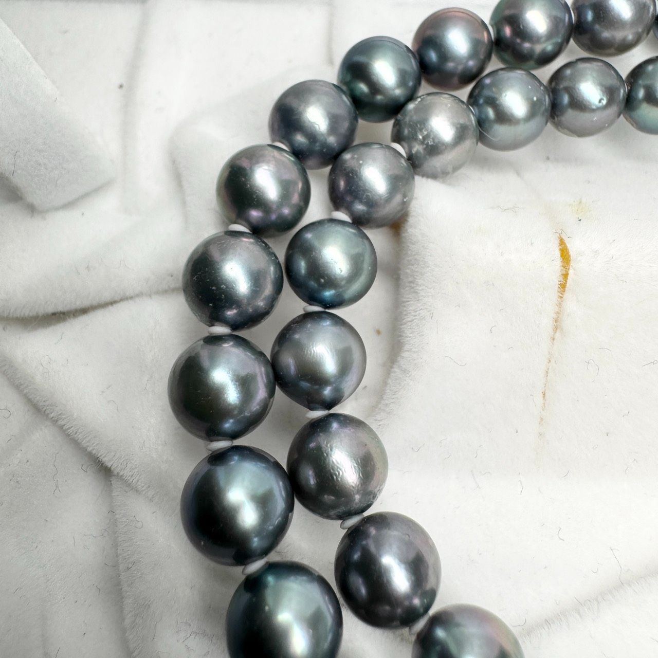 テリ強☆大珠 あこや 本真珠 パールネックレス 金具SILVER刻印