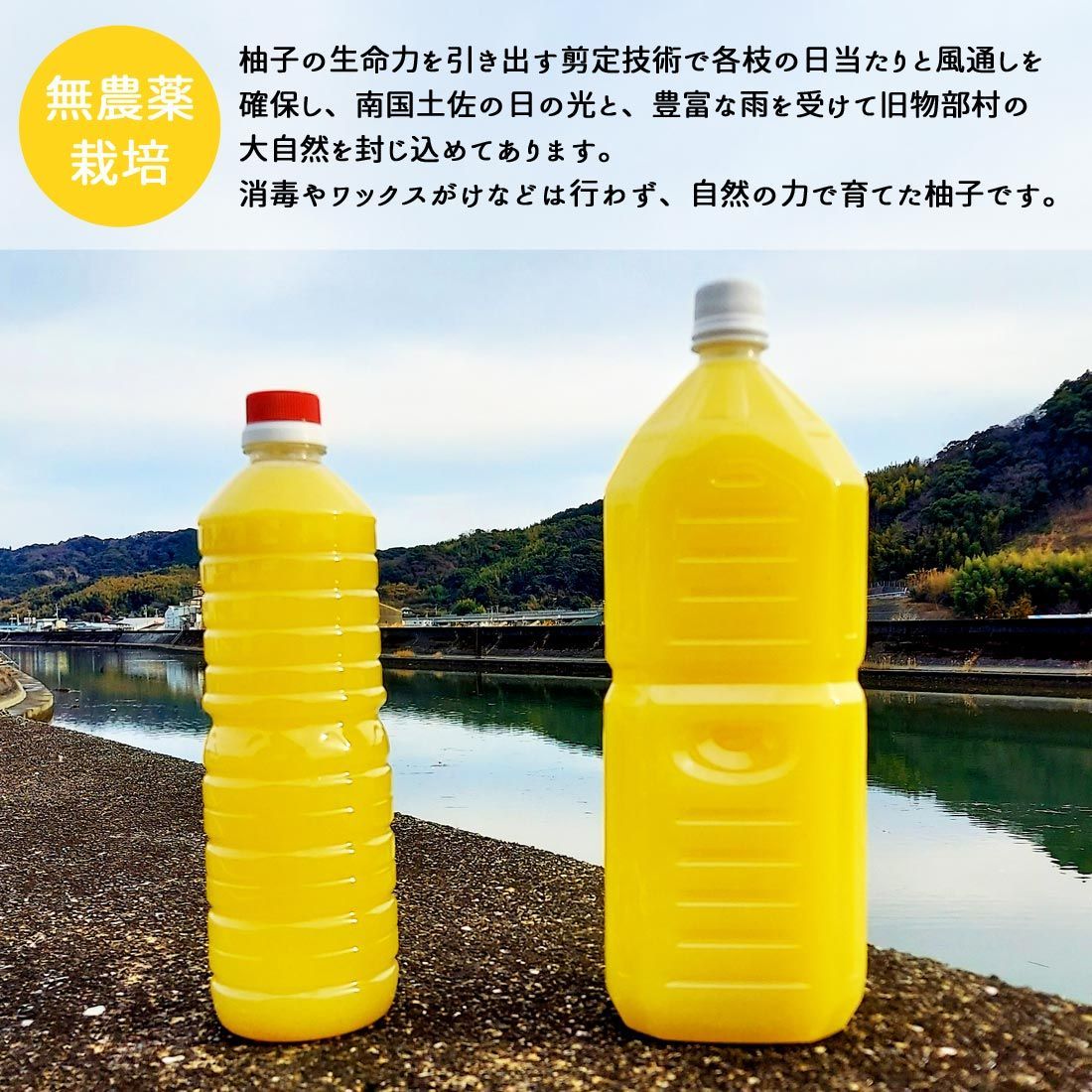 柚のや★送料込★高知県産ゆず酢900ml 4本 旬しぼり★農薬不使用★柚子酢 柚のや☆送料無料☆高知県産ゆず酢900ml 6本☆