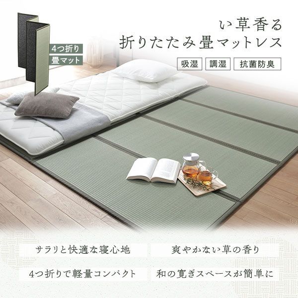 畳マット セミダブル 約120×200×1.1cm い草 100％ 双目織 緑