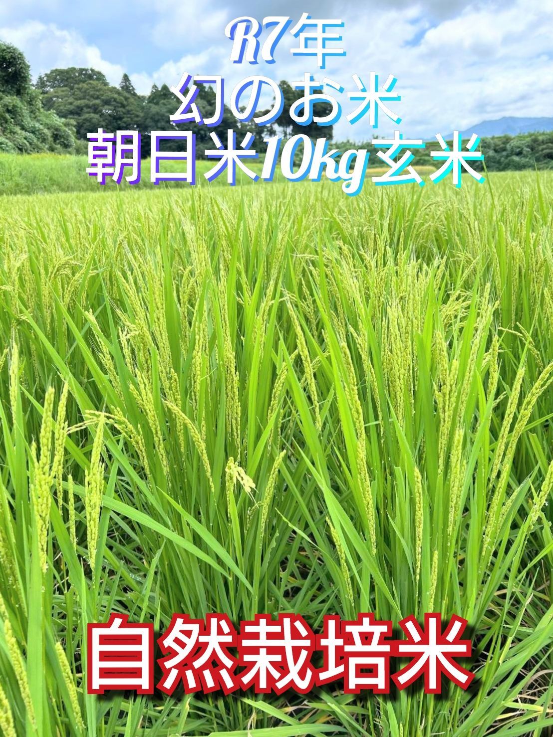 R7年 自然栽培米 朝日米10kg玄米