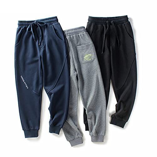 煤篠竹 篠笛 久保井朗童在銘 明笛・尺八 全三本】和楽器 篠笛【久保井