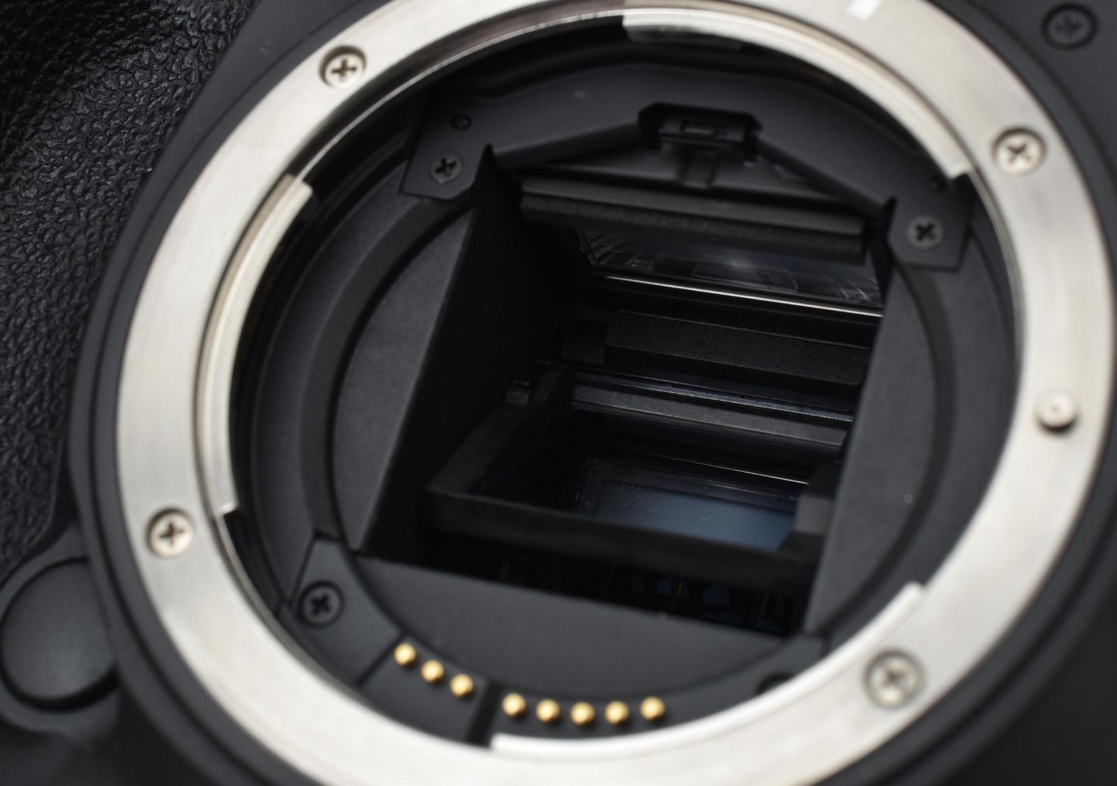 ボディ ショット数