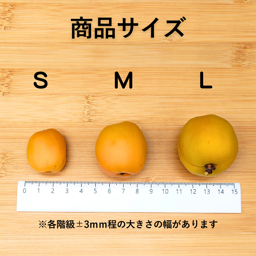 小玉あんず～杏シロップ・杏酒用～【内容量】約1.8kg【配送方法】クール配送【サイズ】L以下【品目】杏（あんず）【品種】当店お任せ【産地】長野県【規格】ご家庭用A品B品混合【詰め方】バラ詰め【配送までの日数】1～4日