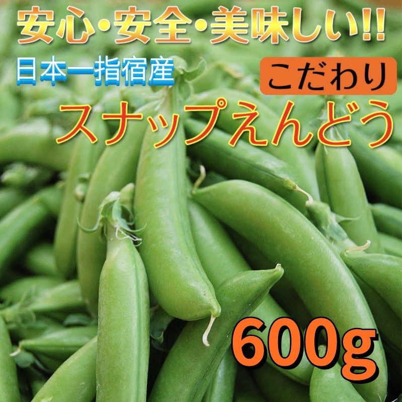 スナップえんどう 【送料無料（一部地域を除く）】 - 野菜