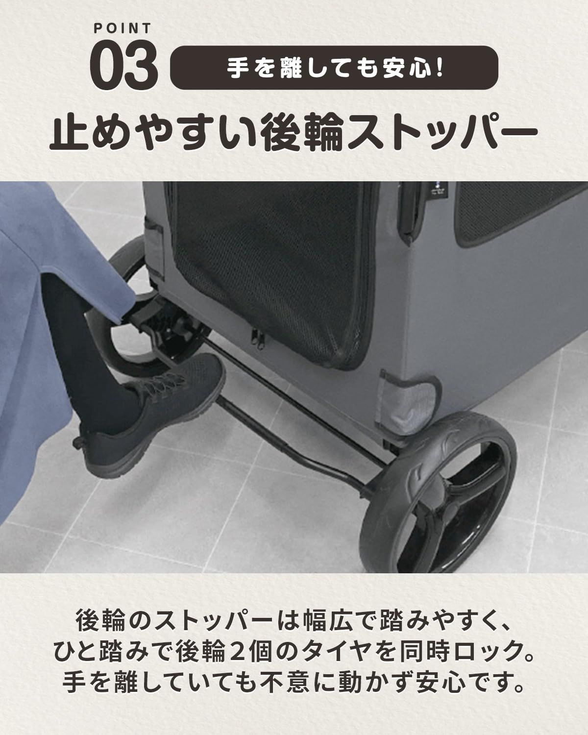 多頭