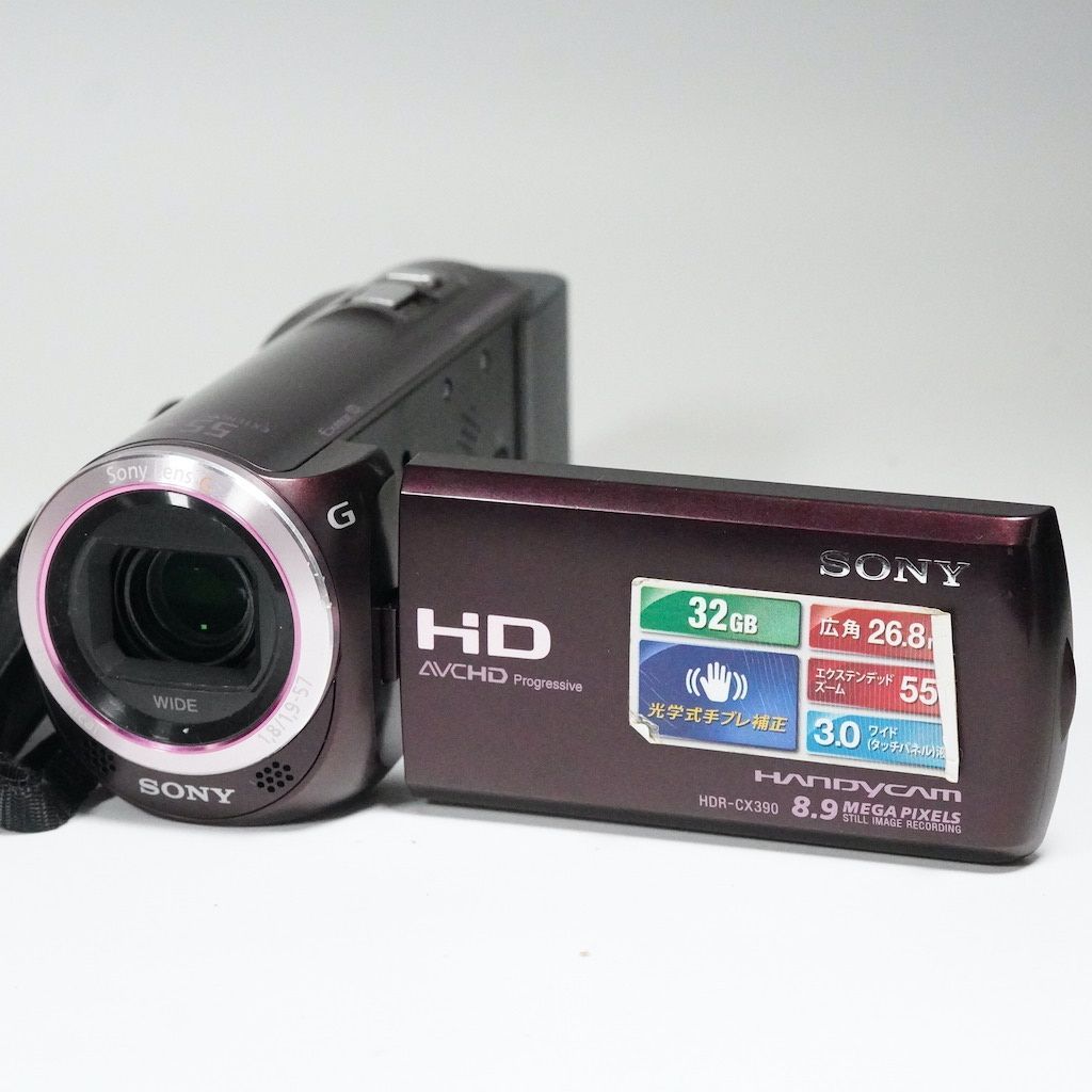 SONY HD AVCHD ビデオカメラ本体 充電器付き 51YsiYVktWL._AC_UF350,