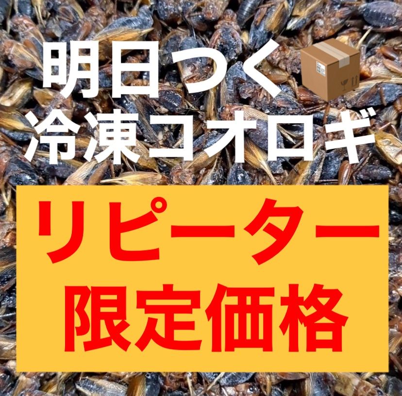 明日着く 発送早い 冷凍コオロギ リピーター様価格