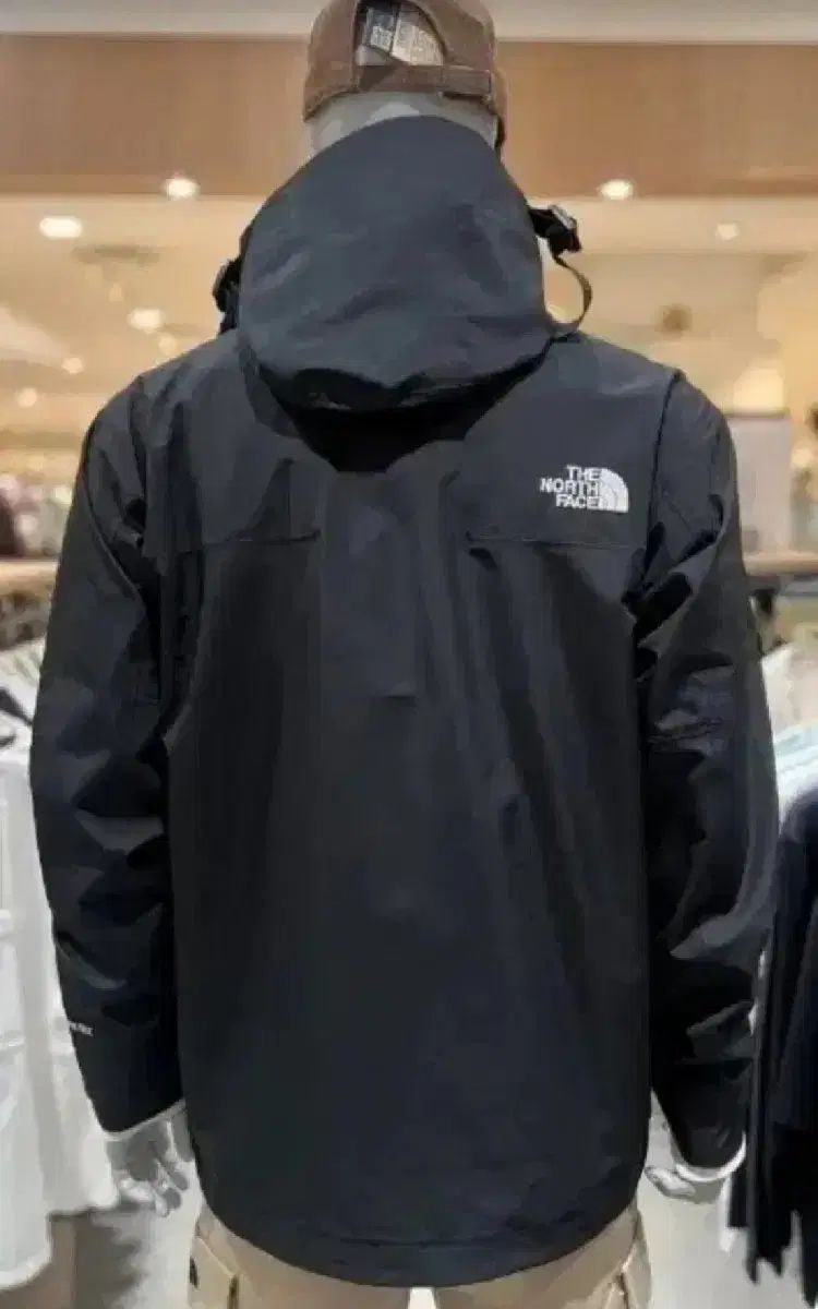 日本未発売品 Lサイズ ノースフェイス GTX MOUNTAIN JACKET THE NORTH FACE ノースフェイス マウンテンジャケット マウンテン