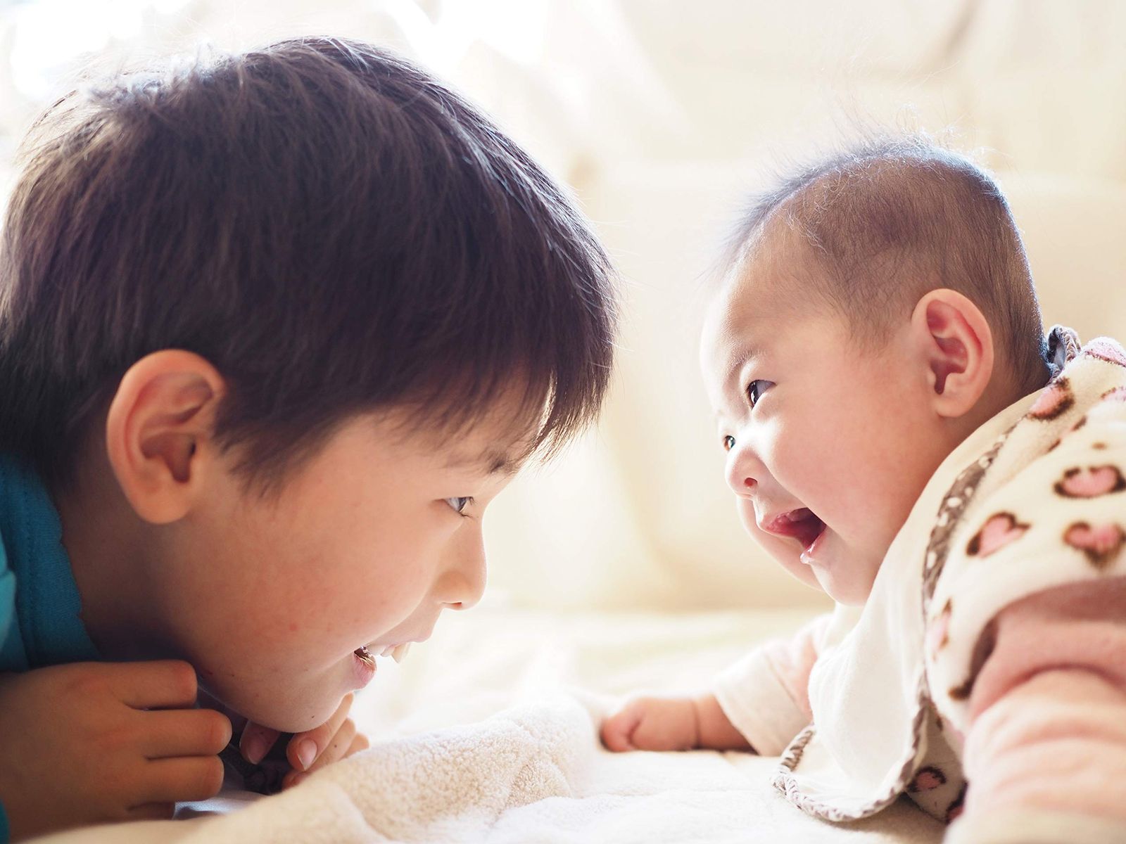 OM SYSTEM|オリンパス OLYMPUS M.ZUIKO DIGITAL 25mm F1.8 シルバー マイクロフォーサーズ用 単焦点レンズ シルバー 25mm F1.8