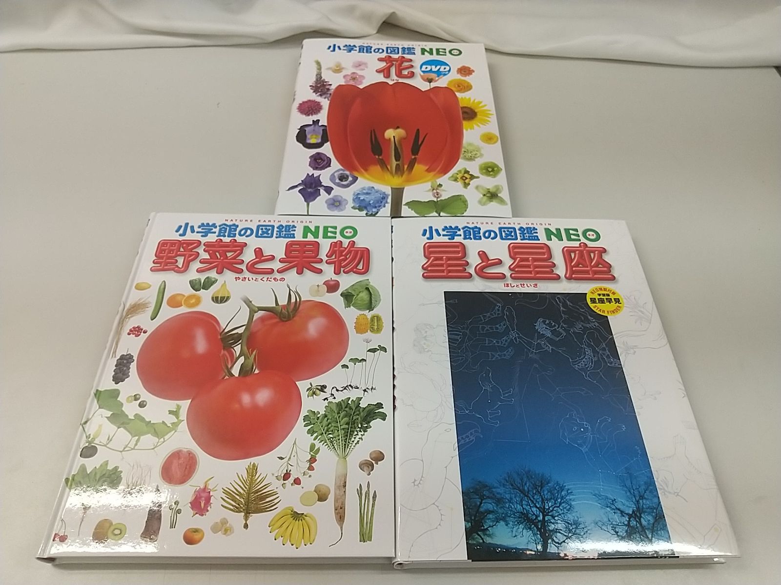 まとめ売り・バラ売り不可】小学館の図鑑NEO 全9巻セット 2504-Sat-22