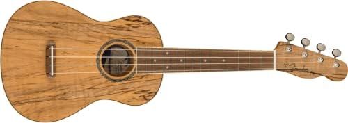 Fender フェンダー ウクレレ Zuma Exotic Concert Ukulele Walnut Fingerboard Bocote ソフトケース付き
