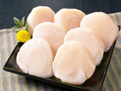 生食用 1kgセット