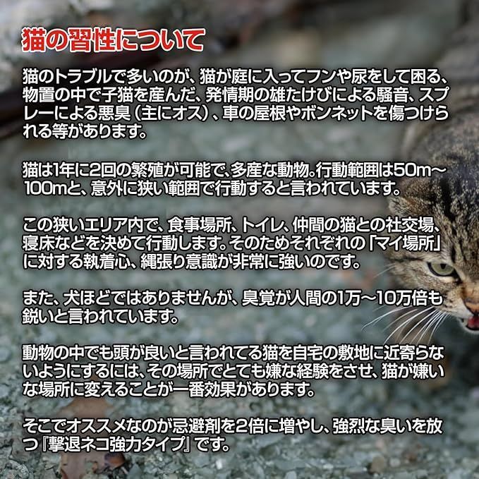 効果が大幅アップ