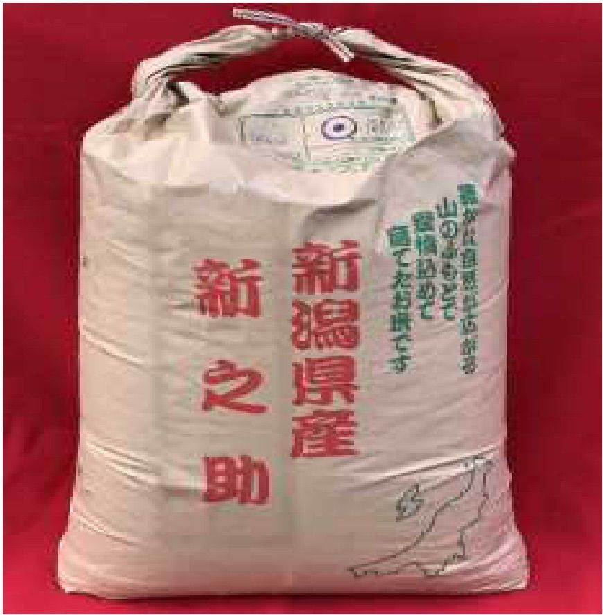 新米・令和5年産新潟県認証 新之助 白米5kg4個 農家直送 - 越後の