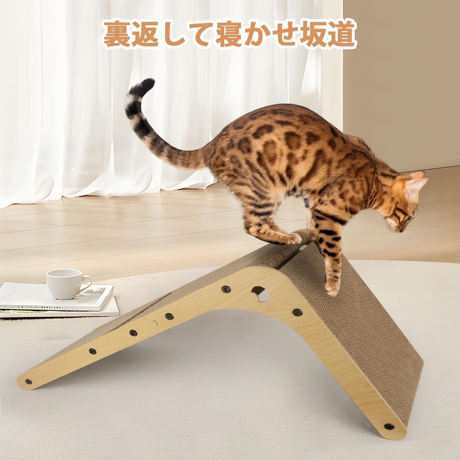 運動不足 段ボール