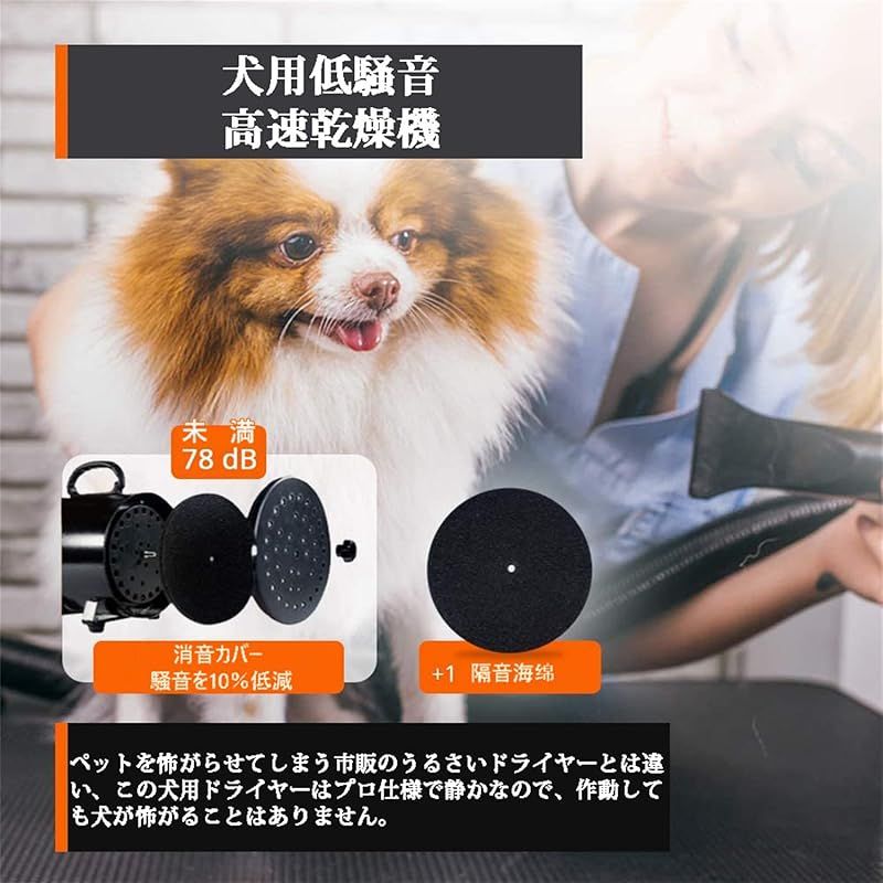 ???????? 猫