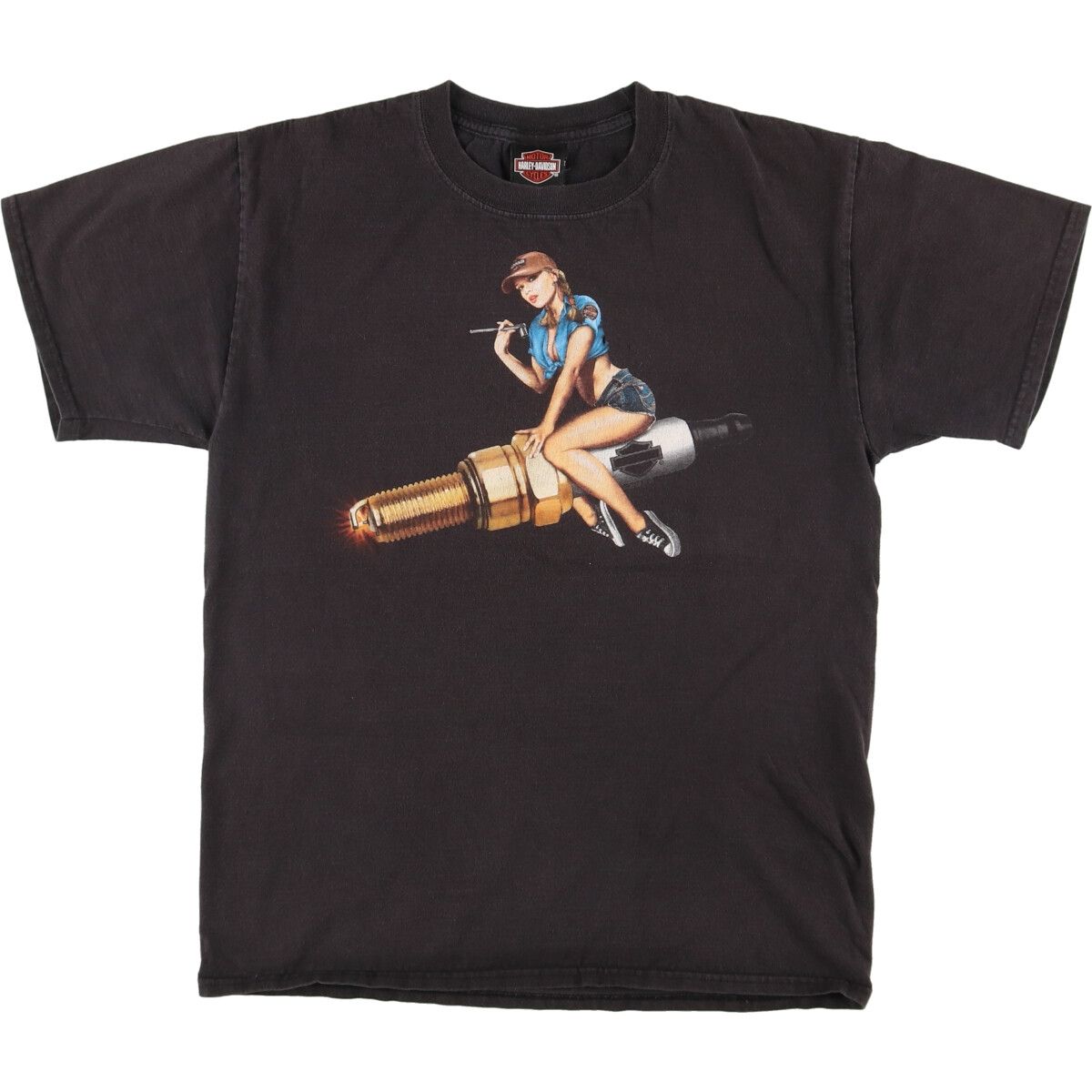 古着 ハーレーダビッドソン Harley-Davidson ピンナップガール モーターサイクル バイクTシャツ メンズM /eaa448029 【中古】/eaa448029