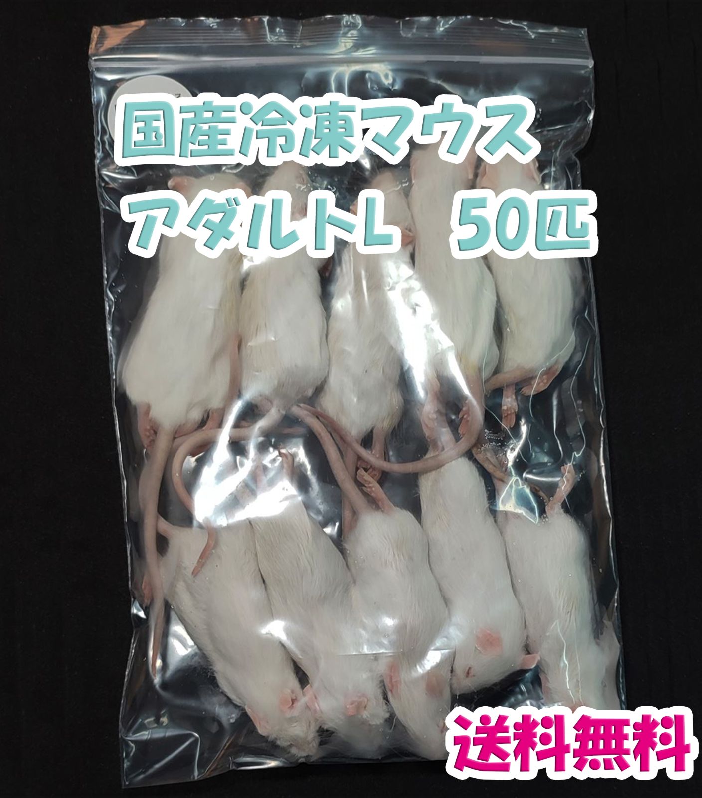 国産冷凍マウス アダルトL 50匹 ２点目から1 000円割引