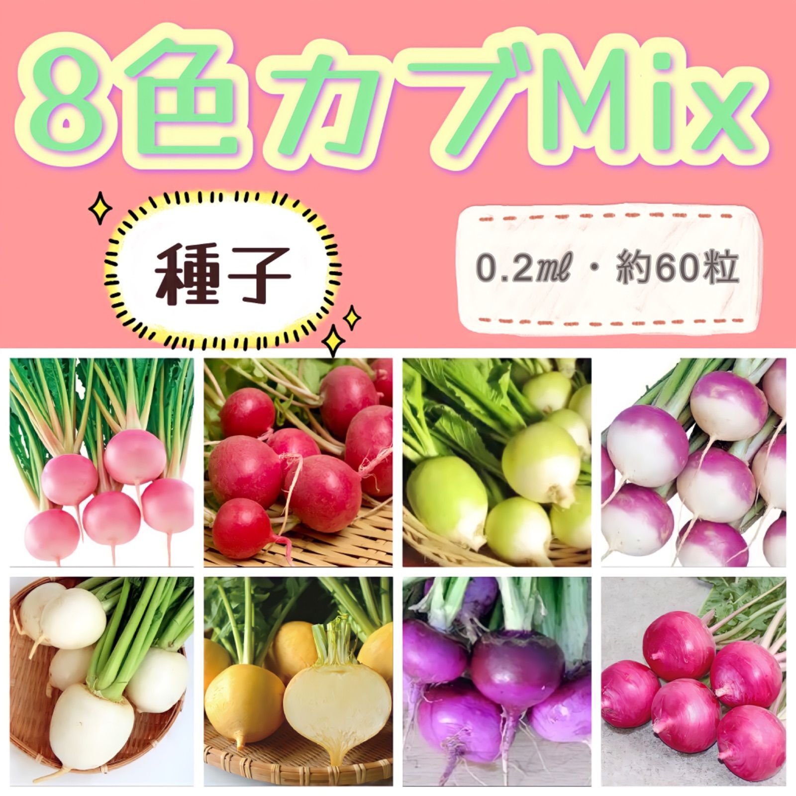☆彩りカブ☆ Mix種子 0.2㎖330円 珍しい野菜の種 8色カラフル中蕪の種 メルカリShops