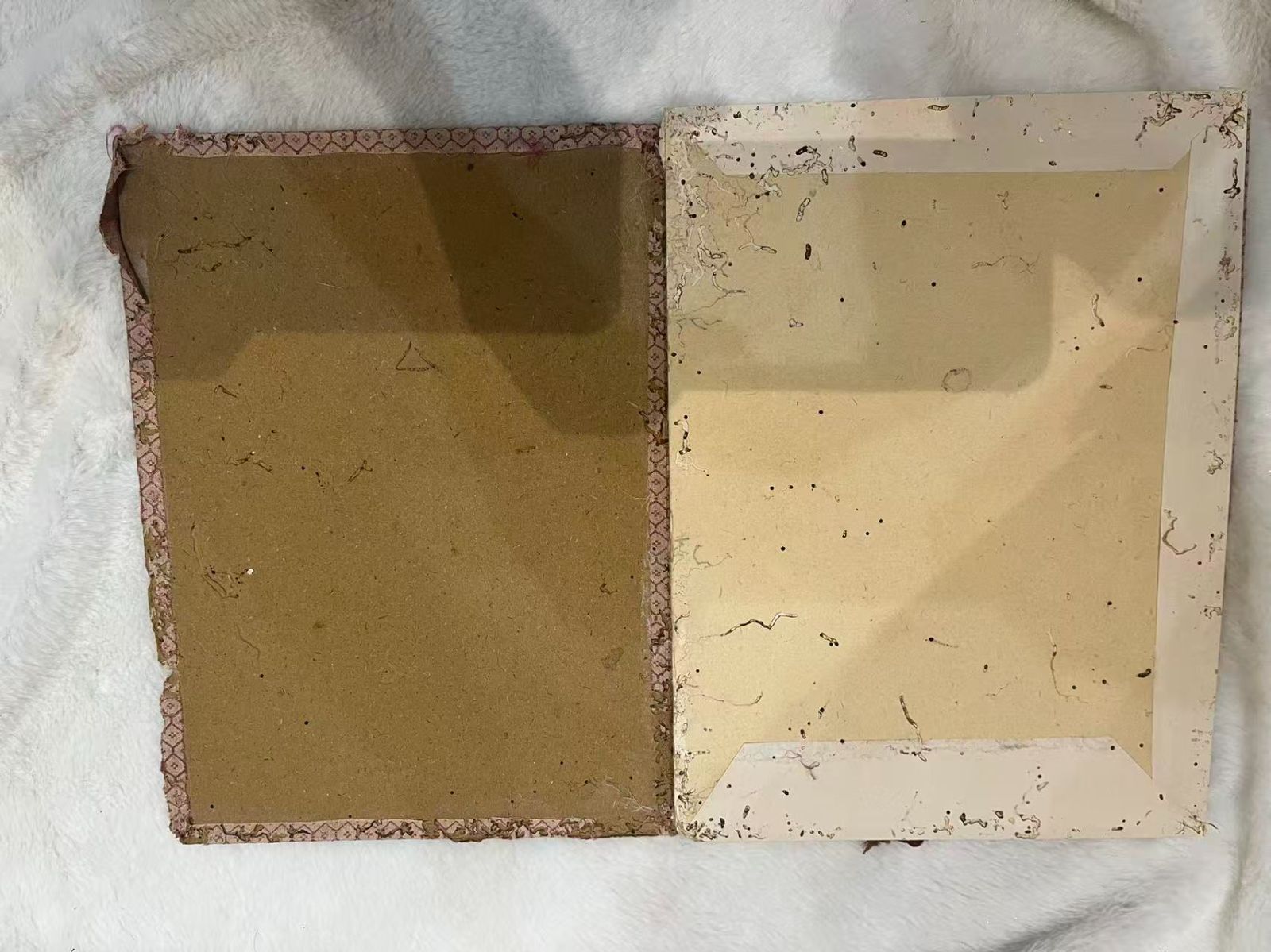 花鳥画 書道作品