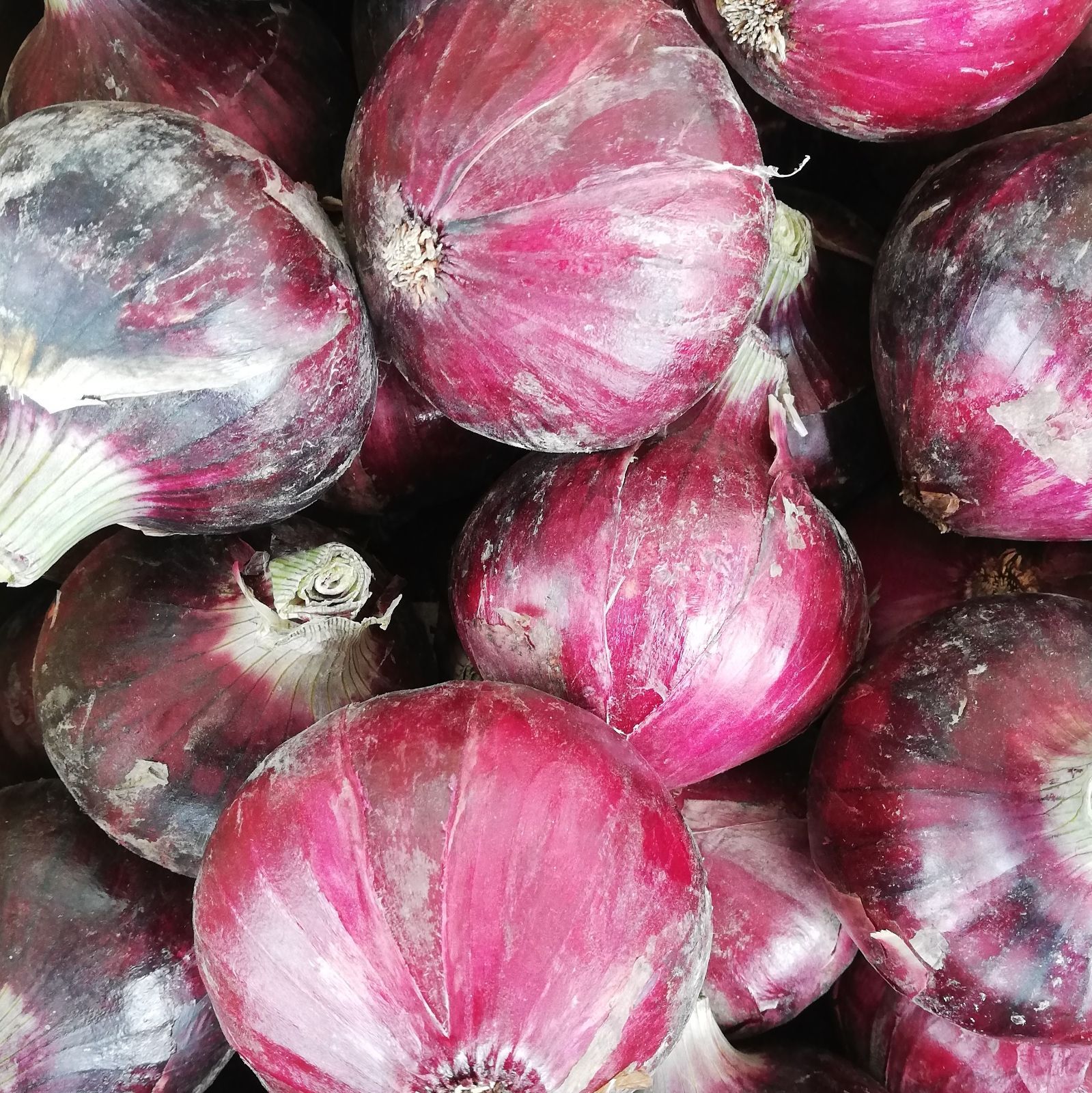 メルカリshops 淡路島産 赤玉葱 2kg サラダ用たまねぎタマネギ玉ねぎ
